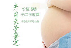 福州怀孕要如何办理亲子鉴定，福州胎儿做亲子鉴定具体的流程
